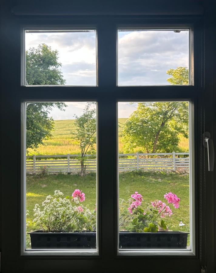 Dom Na Krzewiu Bed & Breakfast Gryfów Śląski Eksteriør bilde